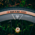 WTB Macro 54 Tire - 700 x 54c, TCS Tubeless, Tan - Tires - Macro
