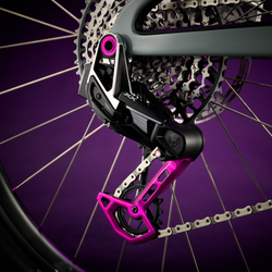 Yeti ASR Ultimate 40th Anniversary T6 Complete Bike w/ SRAM XX Build - Mountain Bike - ASR